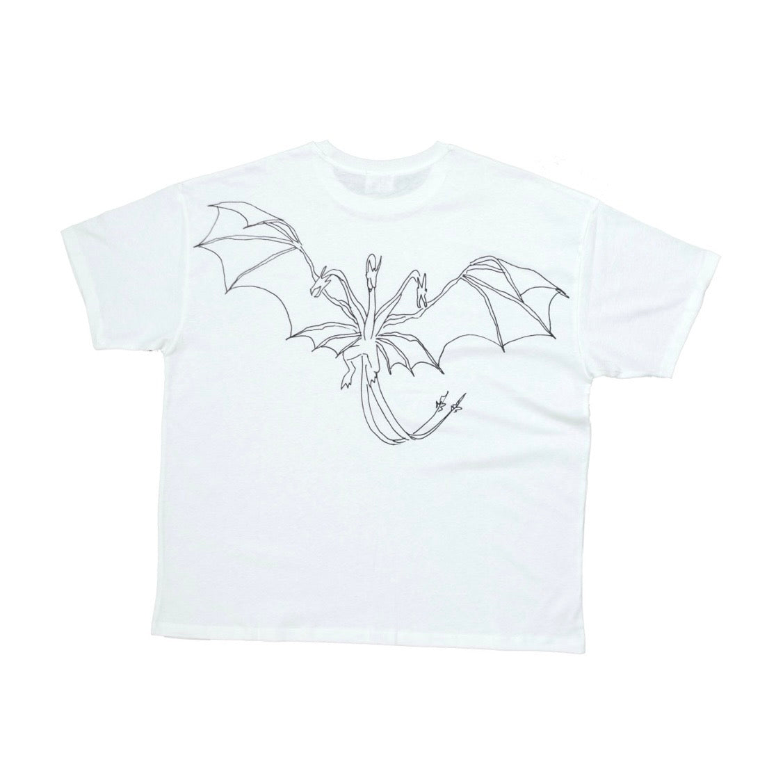FLY
