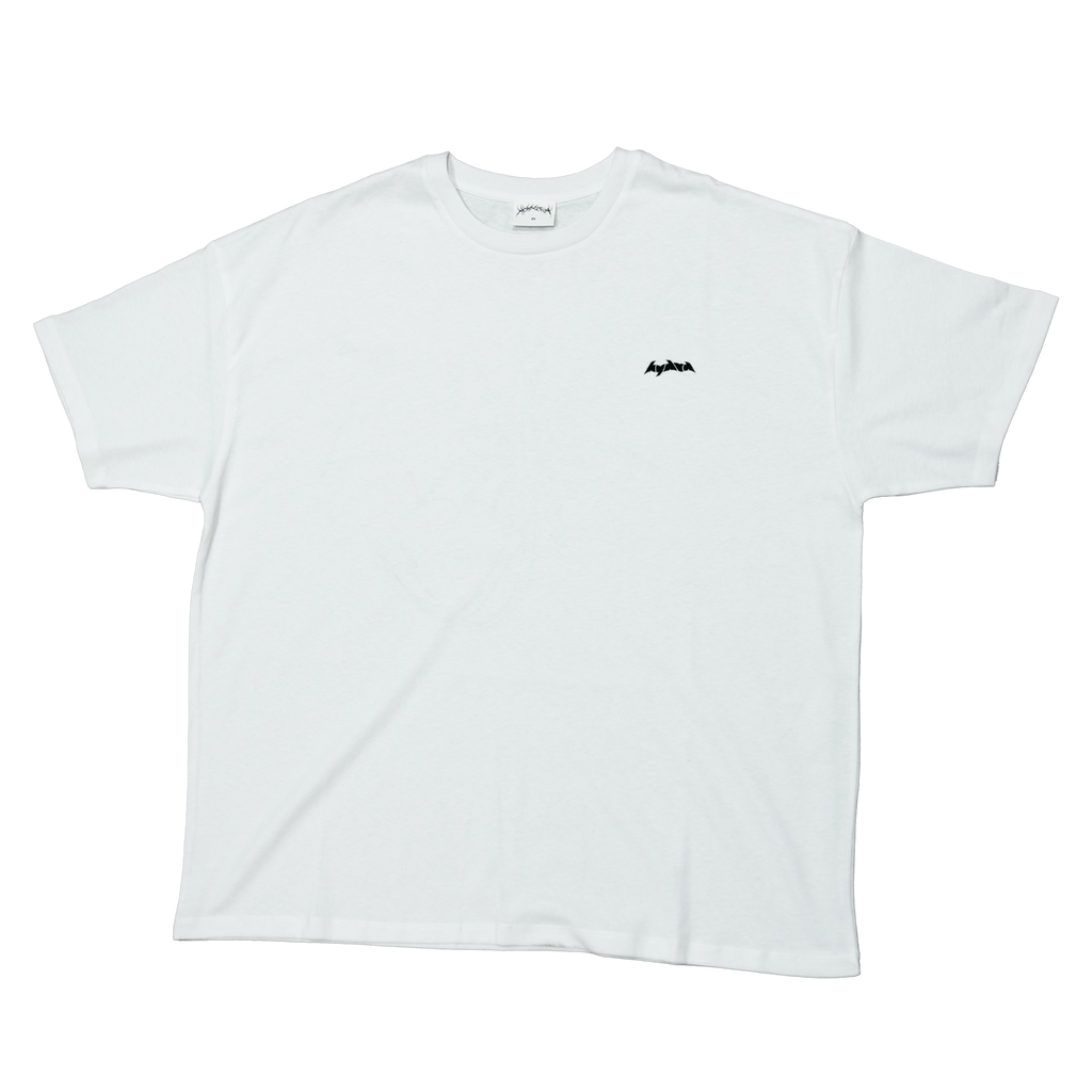 FLY